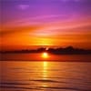 পান্না আক্তার profile