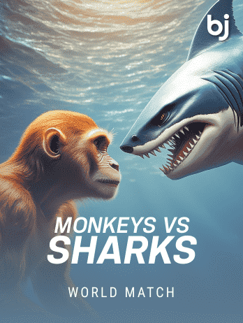 Monkeys Vs Sharks icon